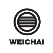 1000053558 Фильтр топливный Weichai